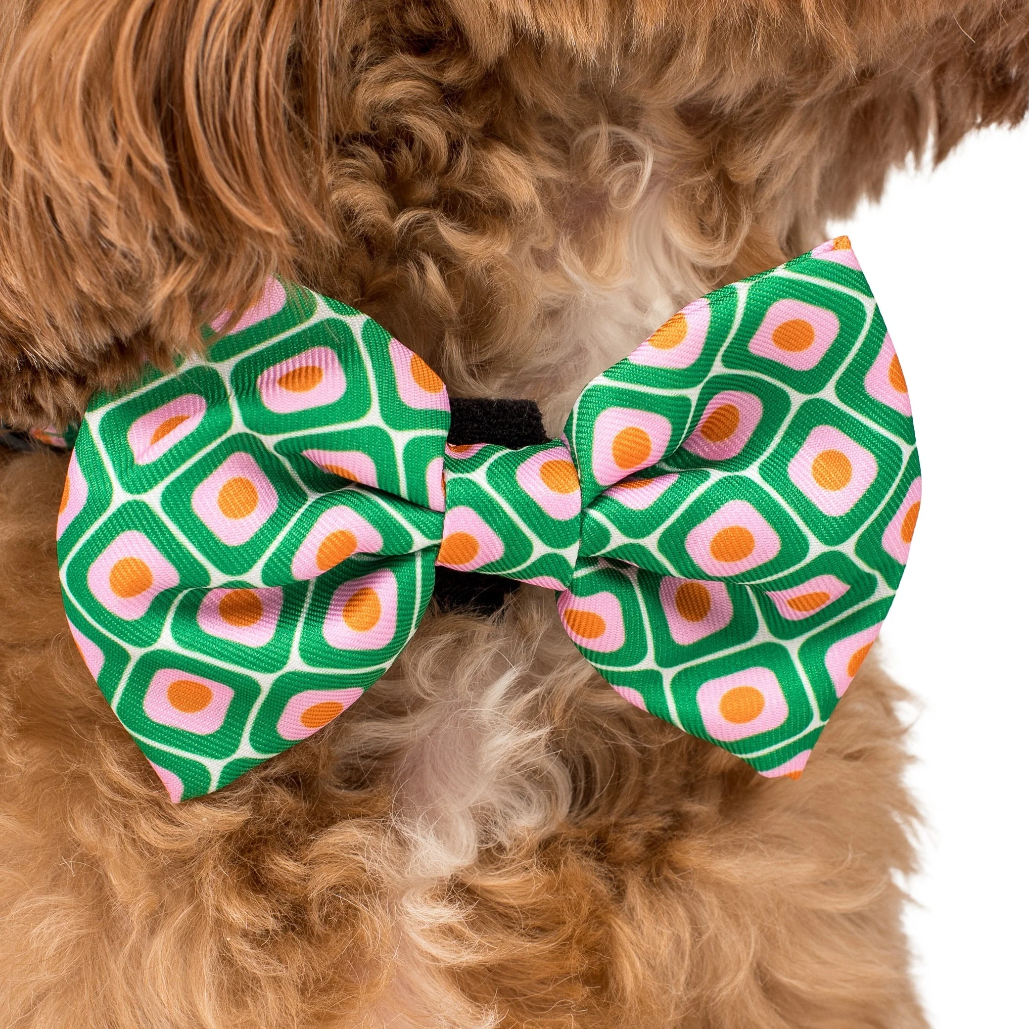 70's Style: Bow Tie - Image 2