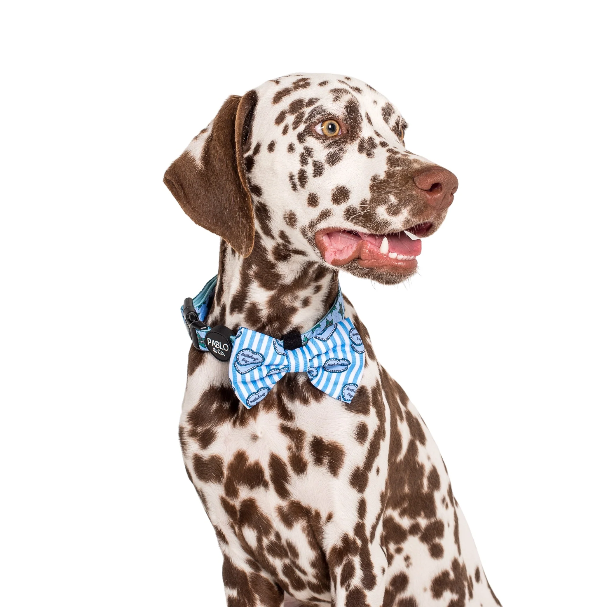 Birthday Boy: Bow Tie - Image 2