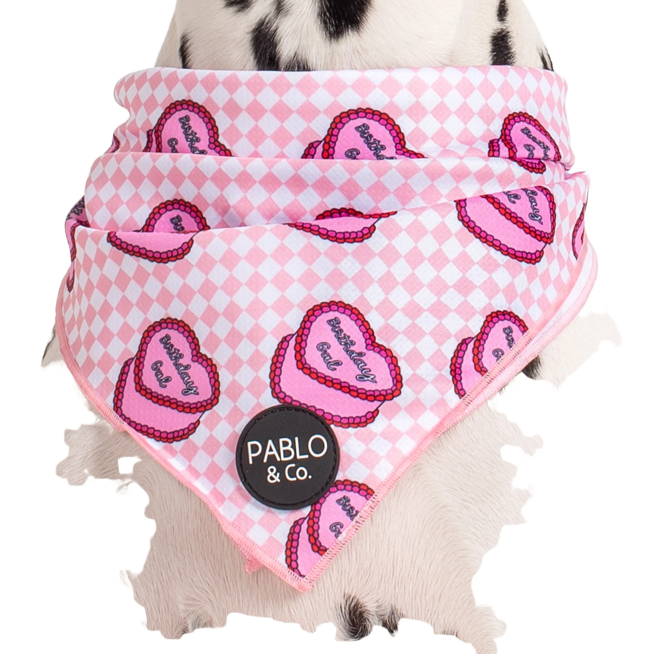 Birthday Gal - Dog Bandana - Image 2