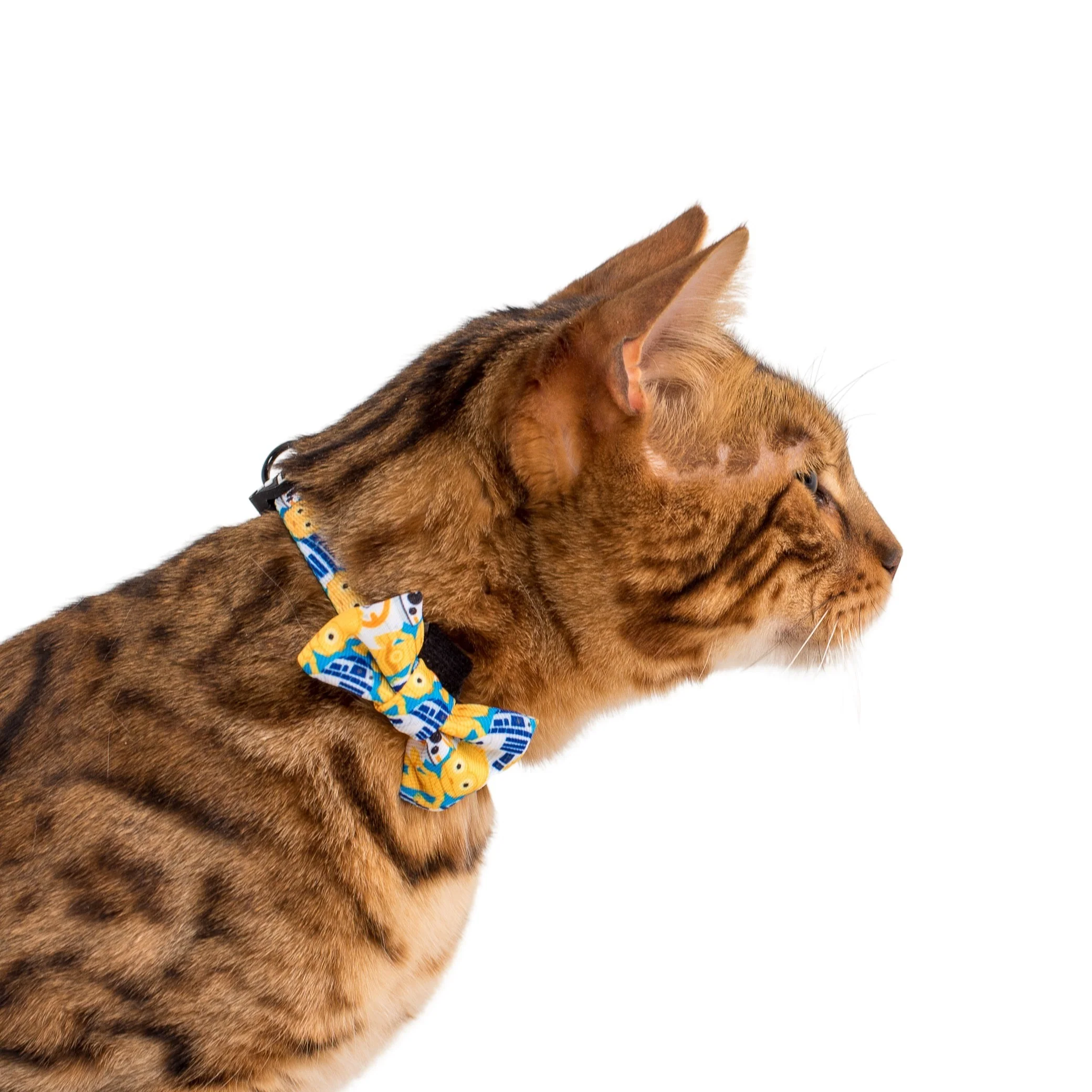 C-3PO & R2-D2: Cat Bow Tie - Image 2