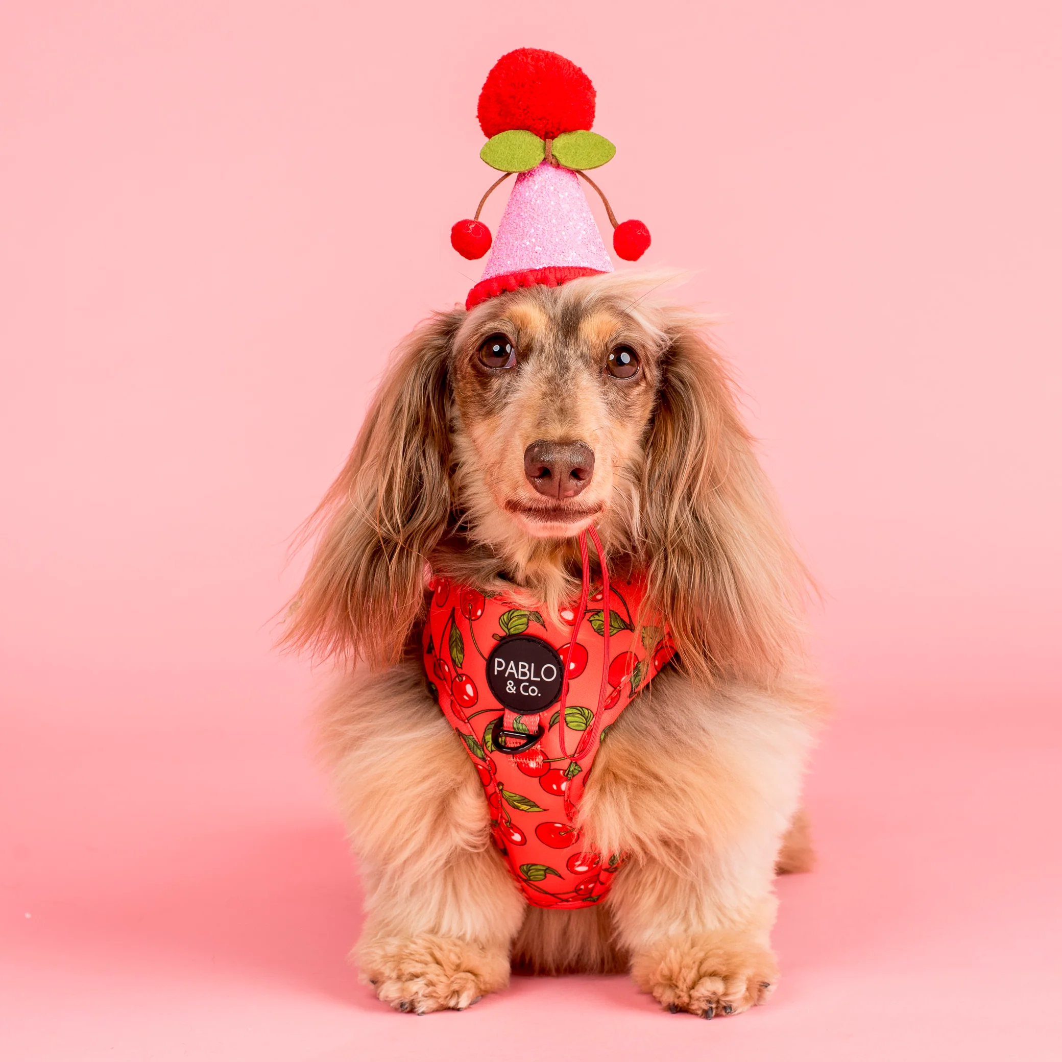 Cherry: Adjustable Harness
