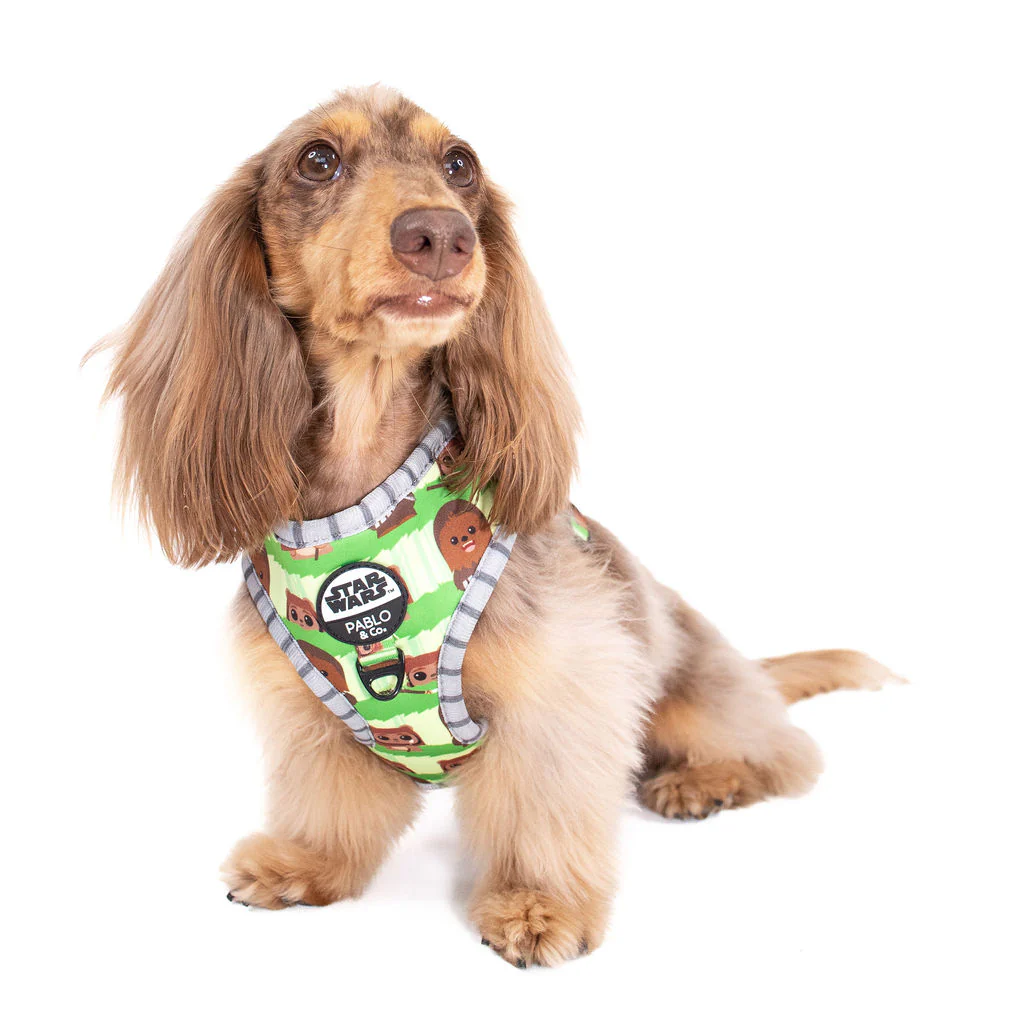 Chewbacca & Ewoks: Adjustable Harness - Image 2
