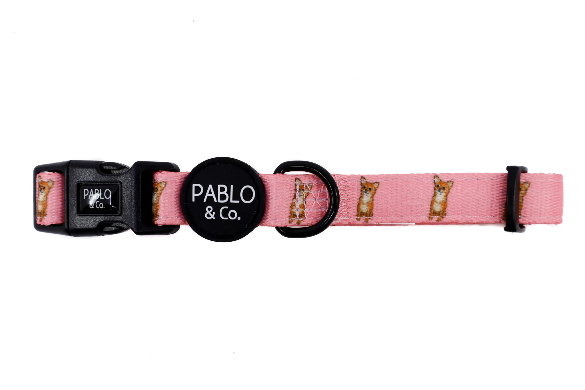 Chihuahua: Collar - Image 5