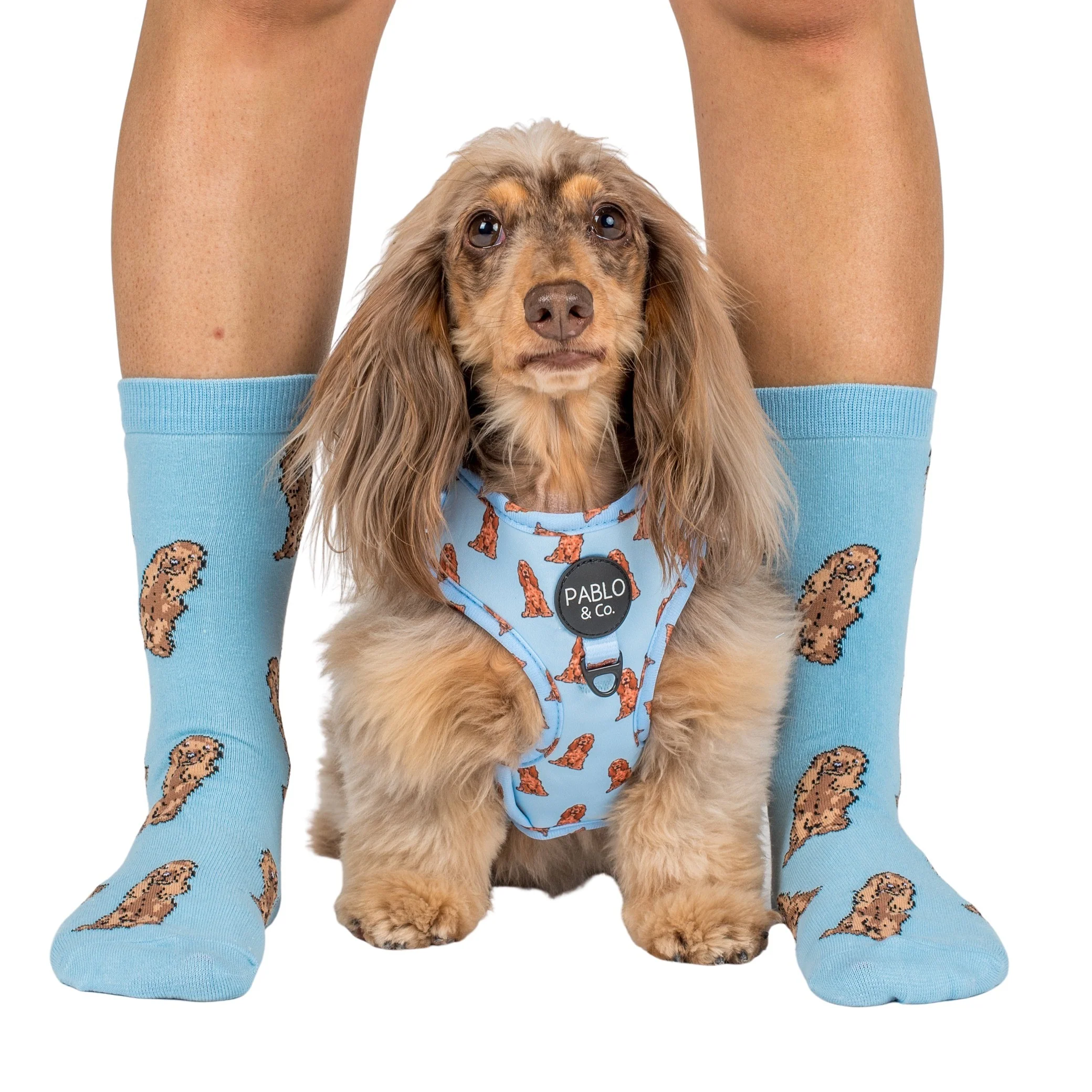 Cocker Spaniel: Adjustable Harness - Image 9