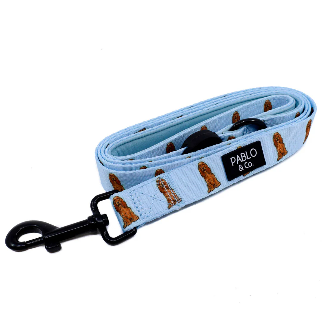 Cocker Spaniel: Dog Leash