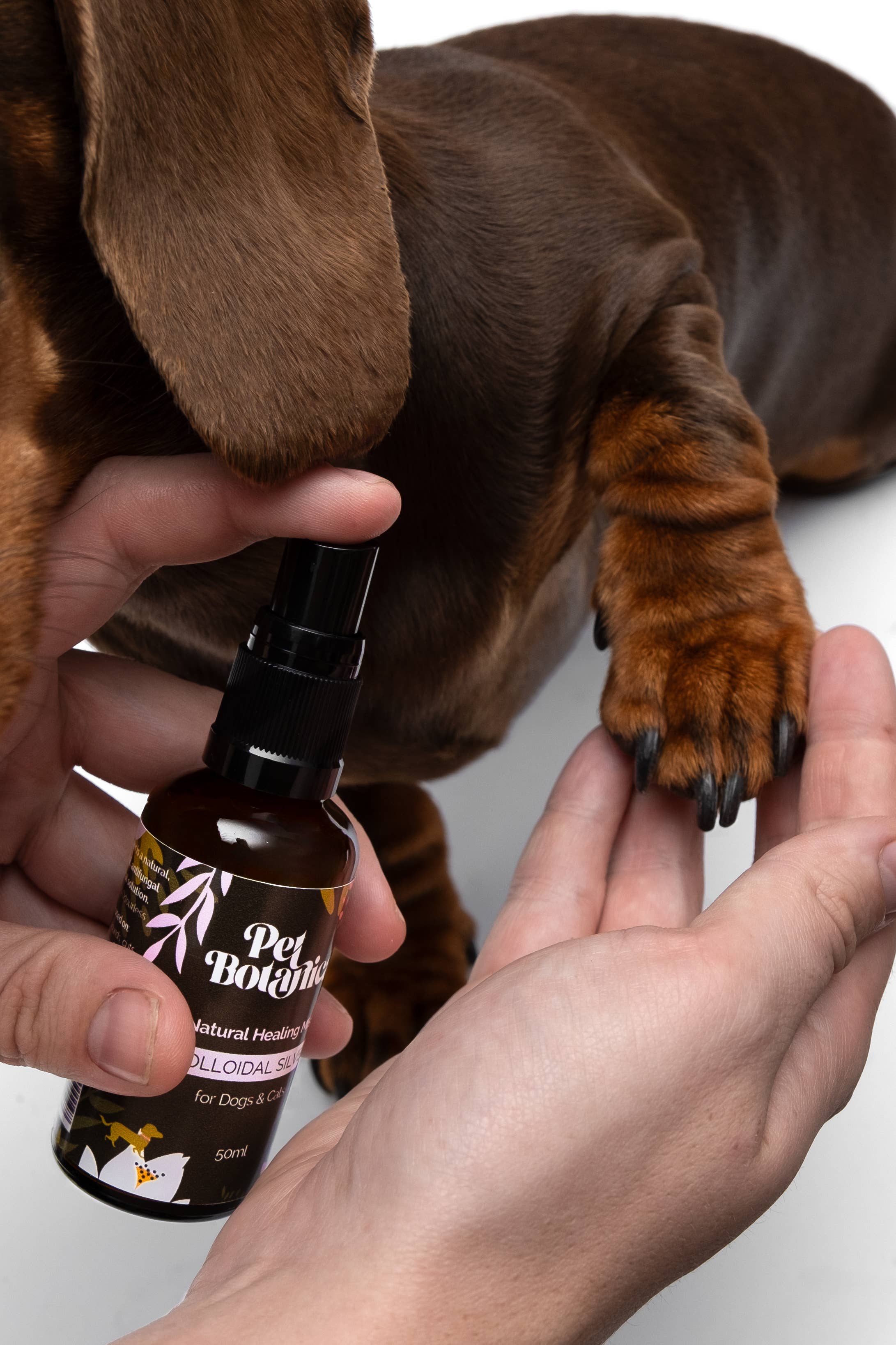 Pet Botanica: Colloidal Silver Healing Mist - Image 4