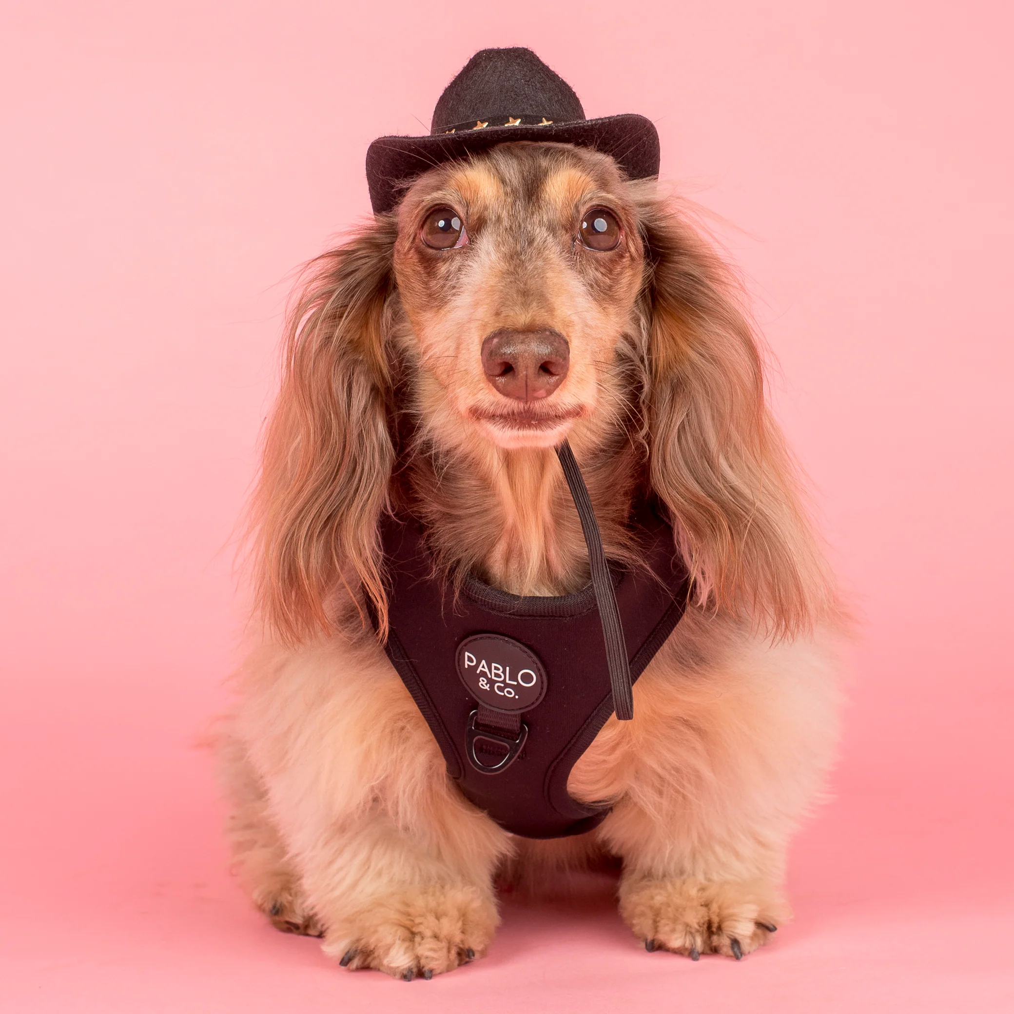 Pet Cowboy Hat - Image 14