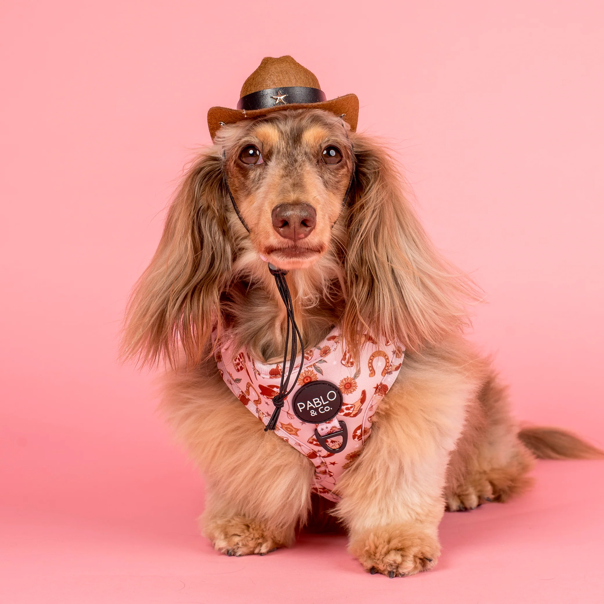 Pet Cowboy Hat - Image 4