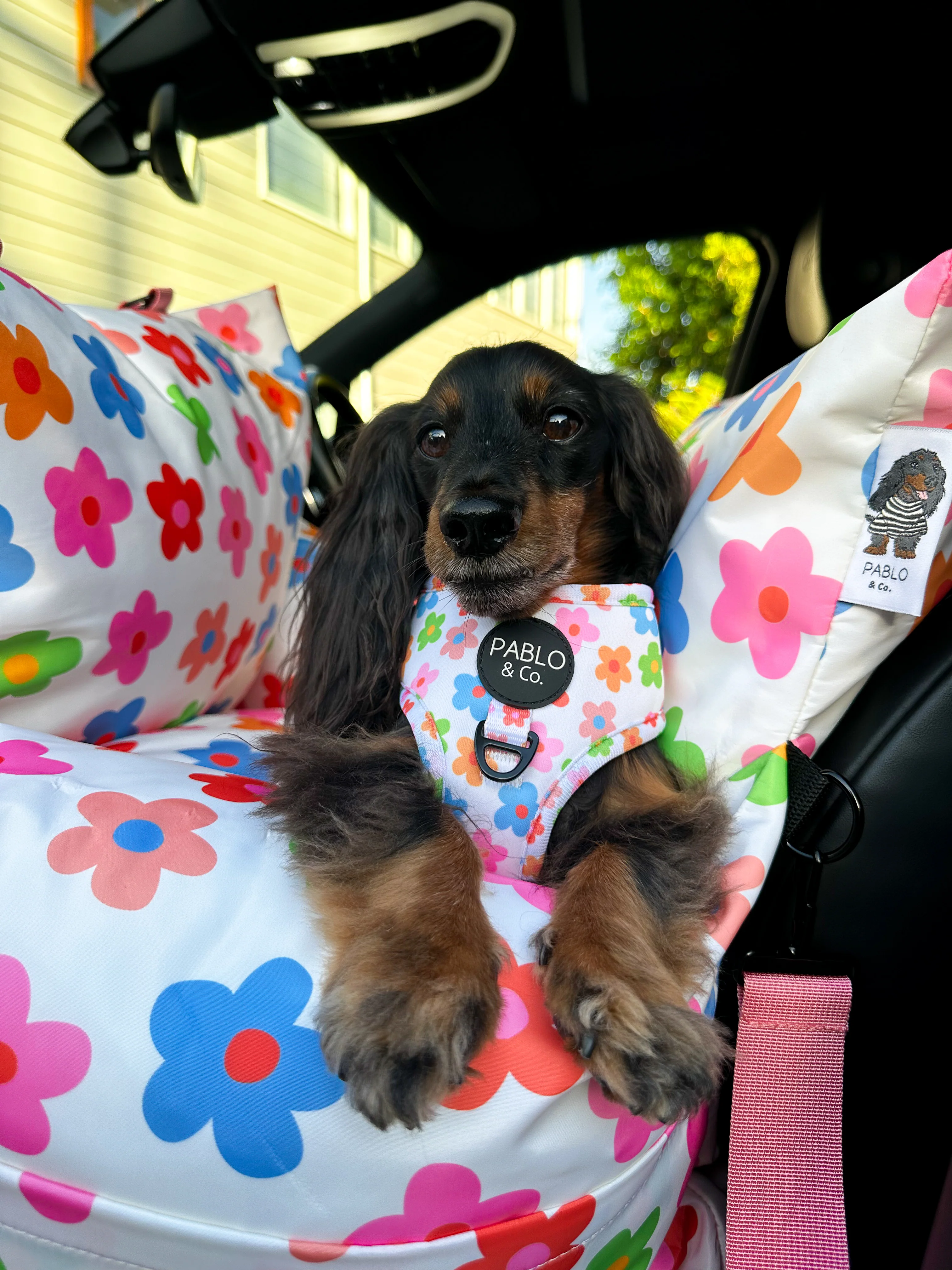 Deluxe Travel Car Bed: Posy - Image 16