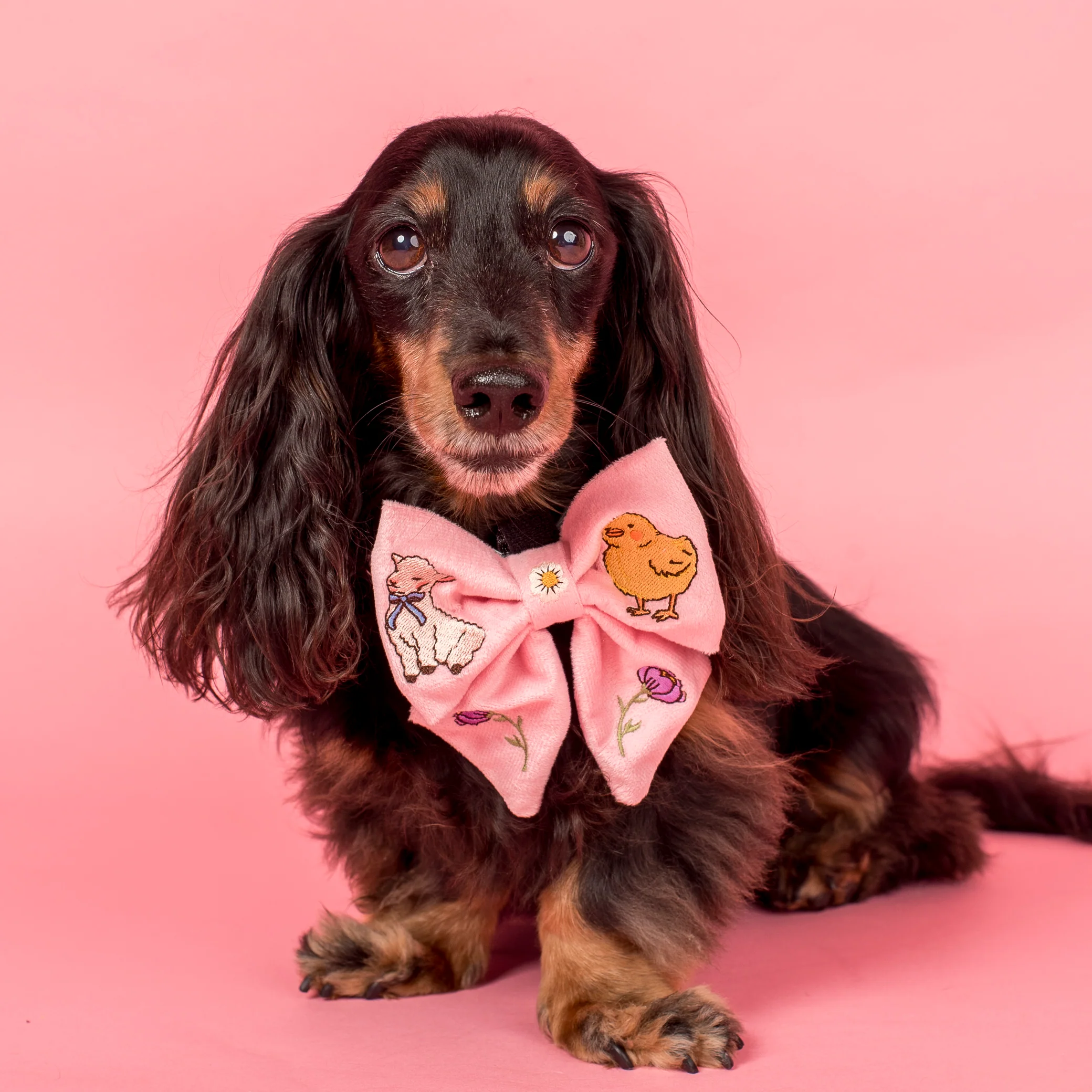Easter Parade: Velvet Sailor Bow