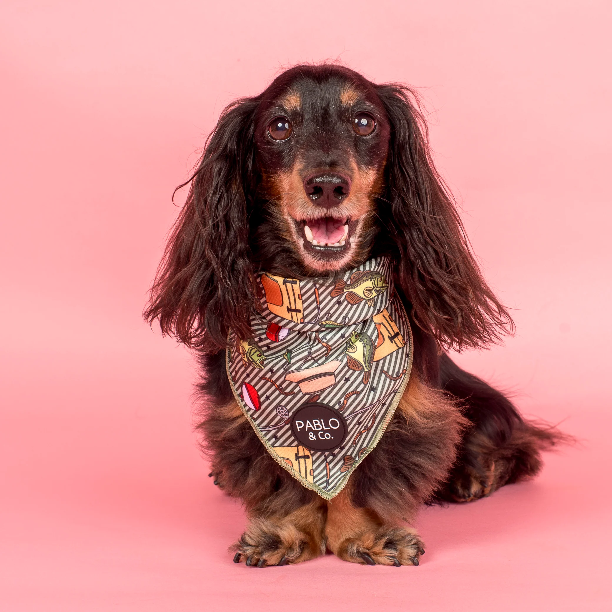 Gone Fishing: Dog Bandana - Image 2