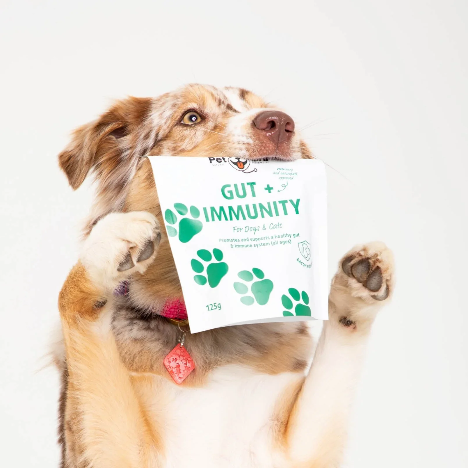 Gut + Immunity Supplement 125g - Image 2