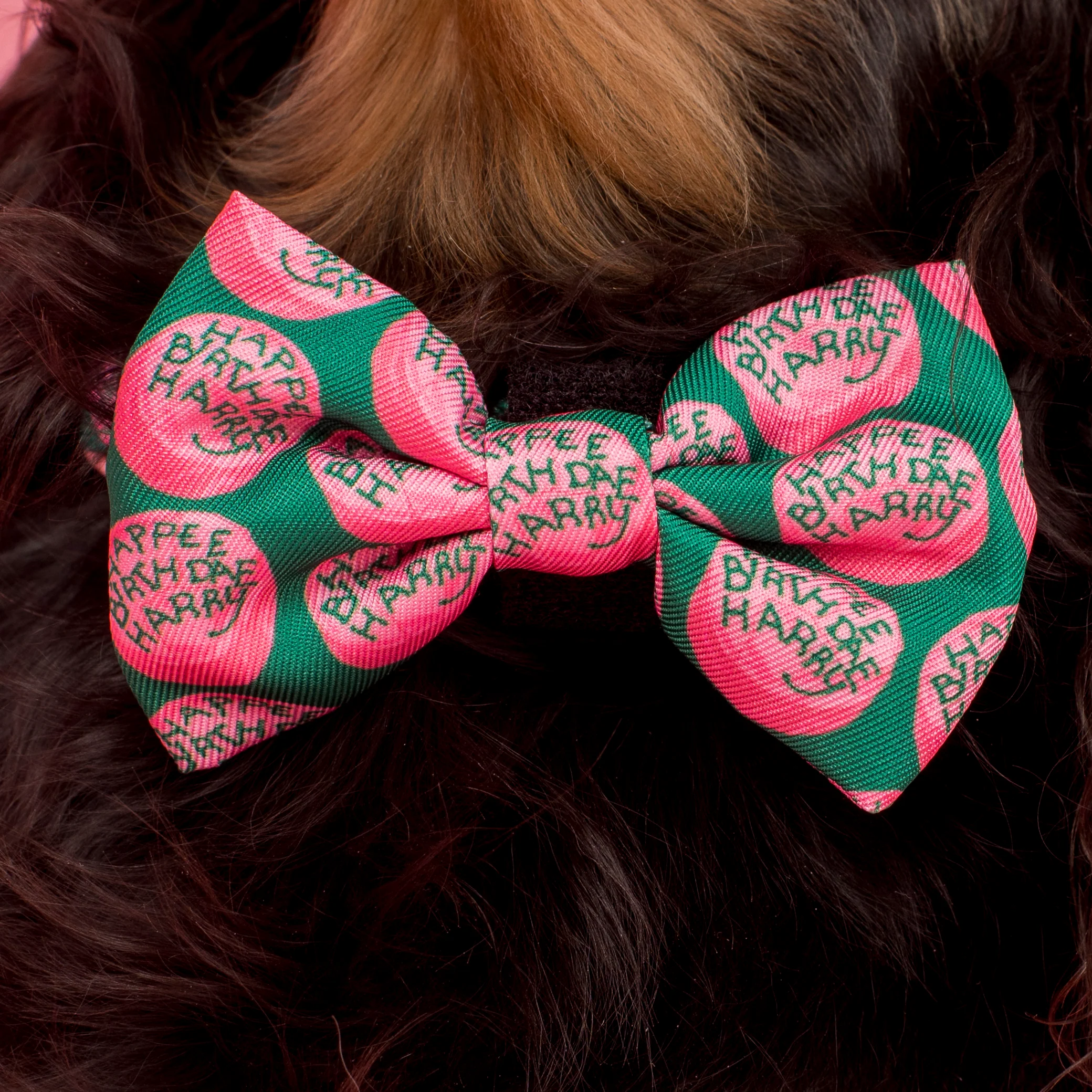 Happee Birthdae Harry: Bow Tie - Image 2
