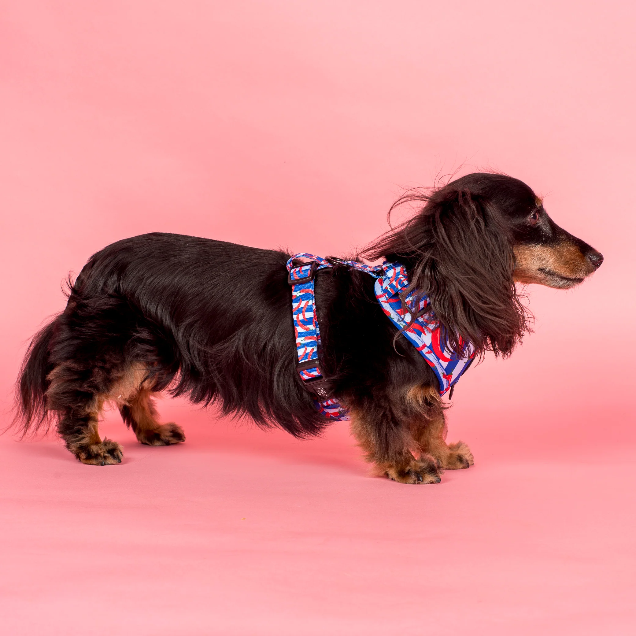 Hot Chillies: Adjustable Harness - Image 3