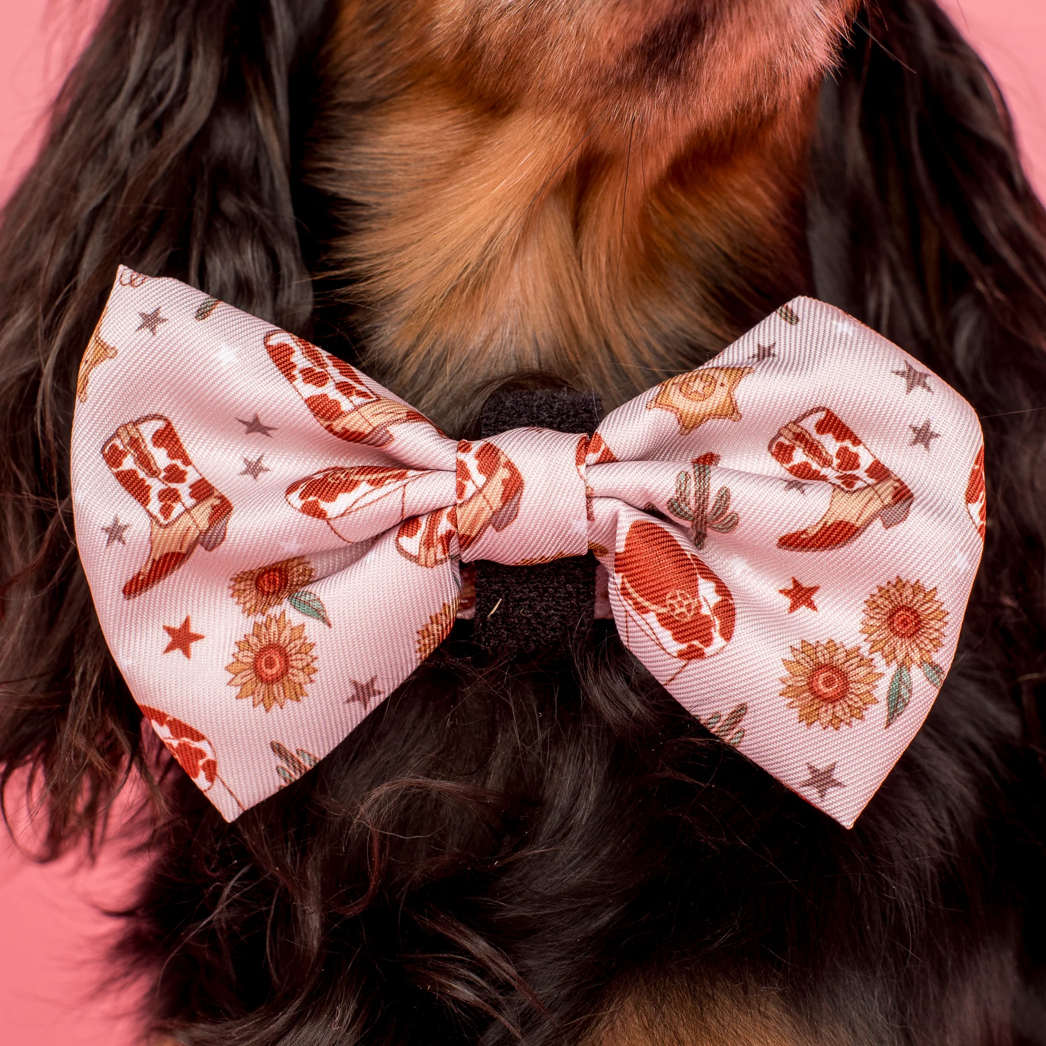 Howdy: Bow Tie - Image 2