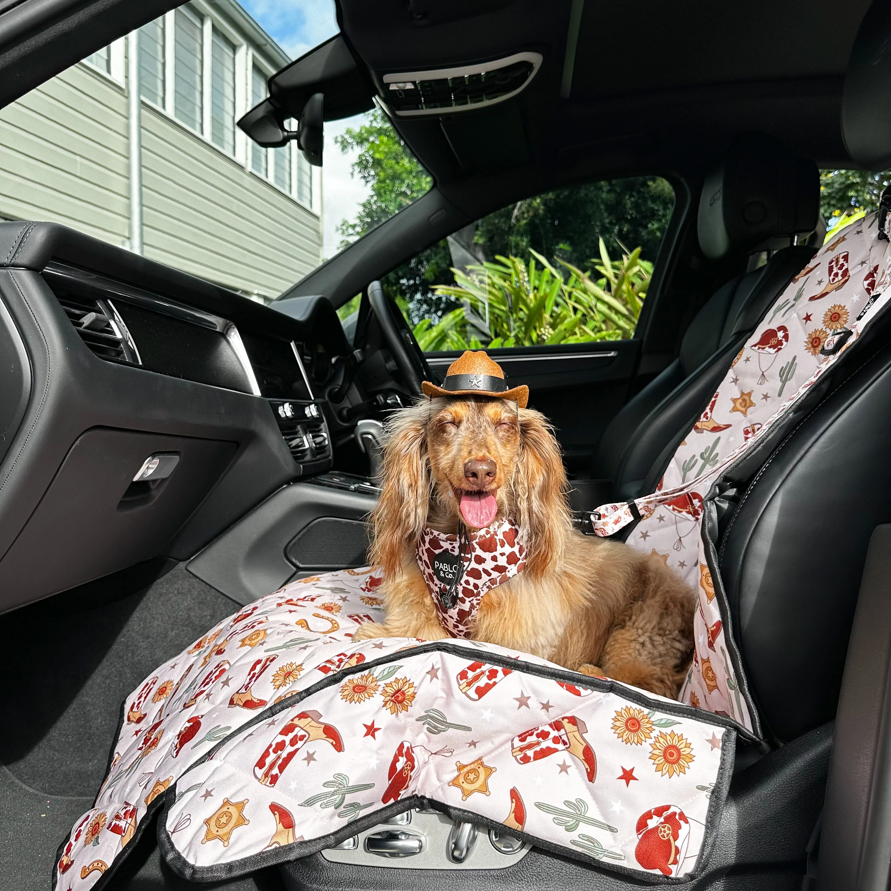 Howdy: Headrest Car Restraint - Image 5
