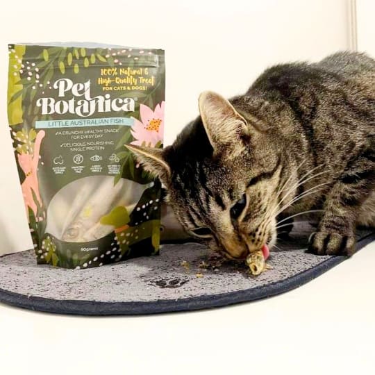 Pet Botanica: Little Australian Fish Treats - Image 3