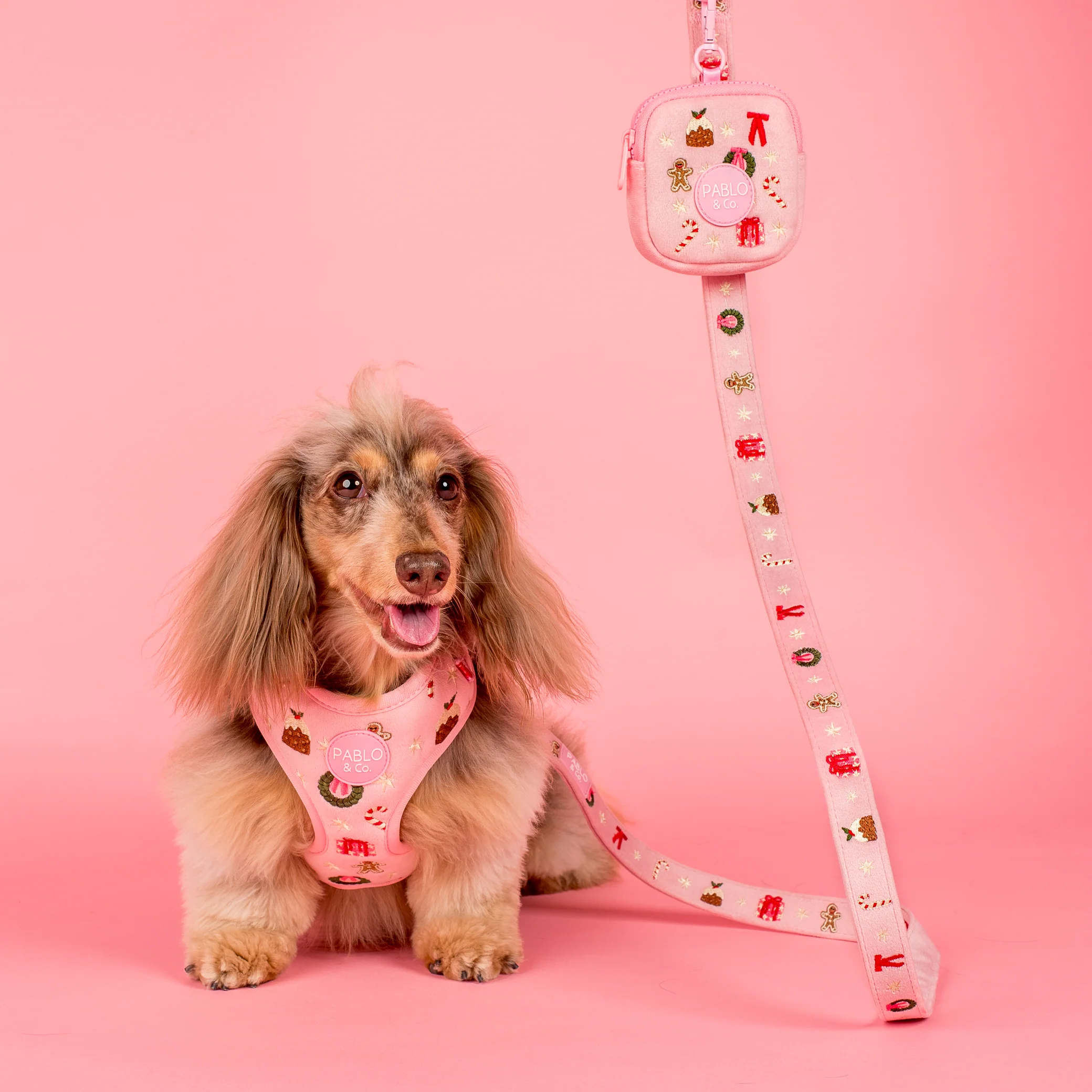 Merry & Bright: Treat Pouch - Image 2