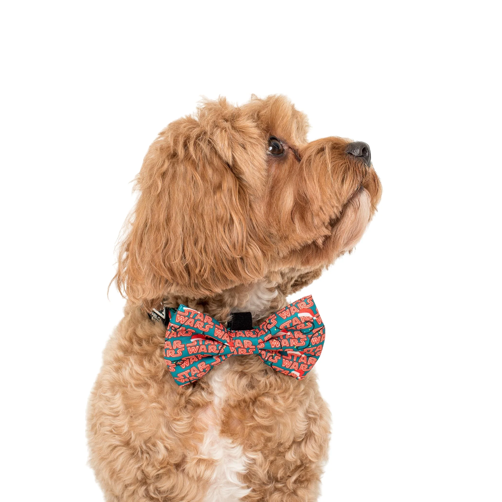 Merry Forcemas: Bow Tie