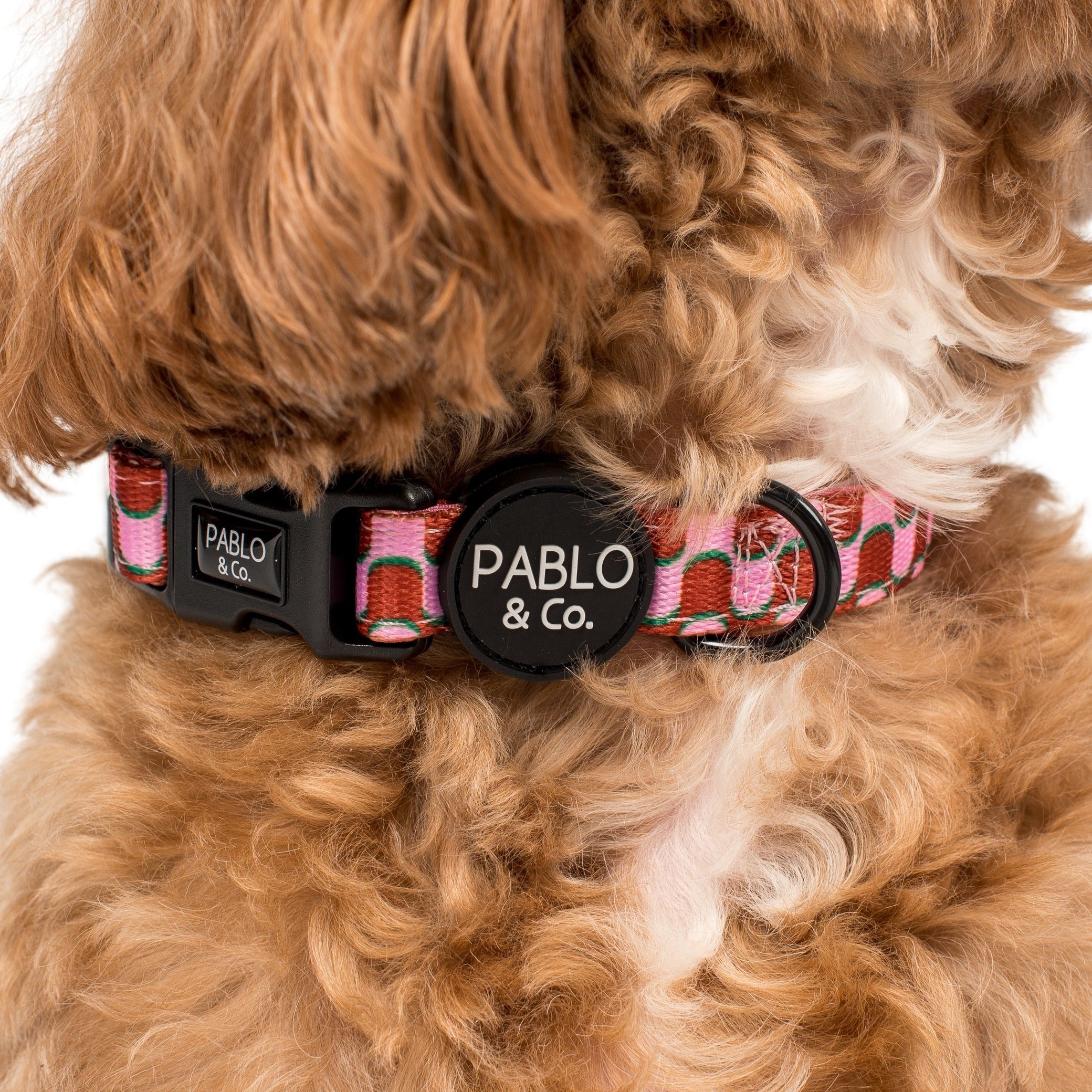Mod Madness: Collar - Image 2