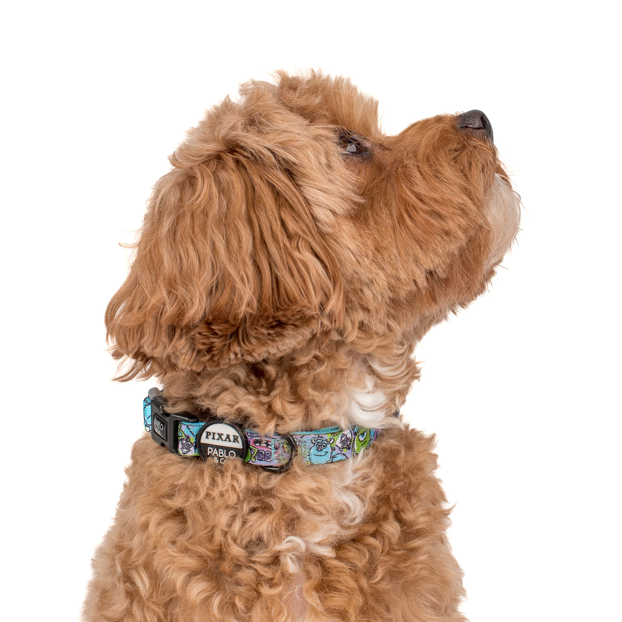 Monsters, Inc.: Dog Collar - Image 3