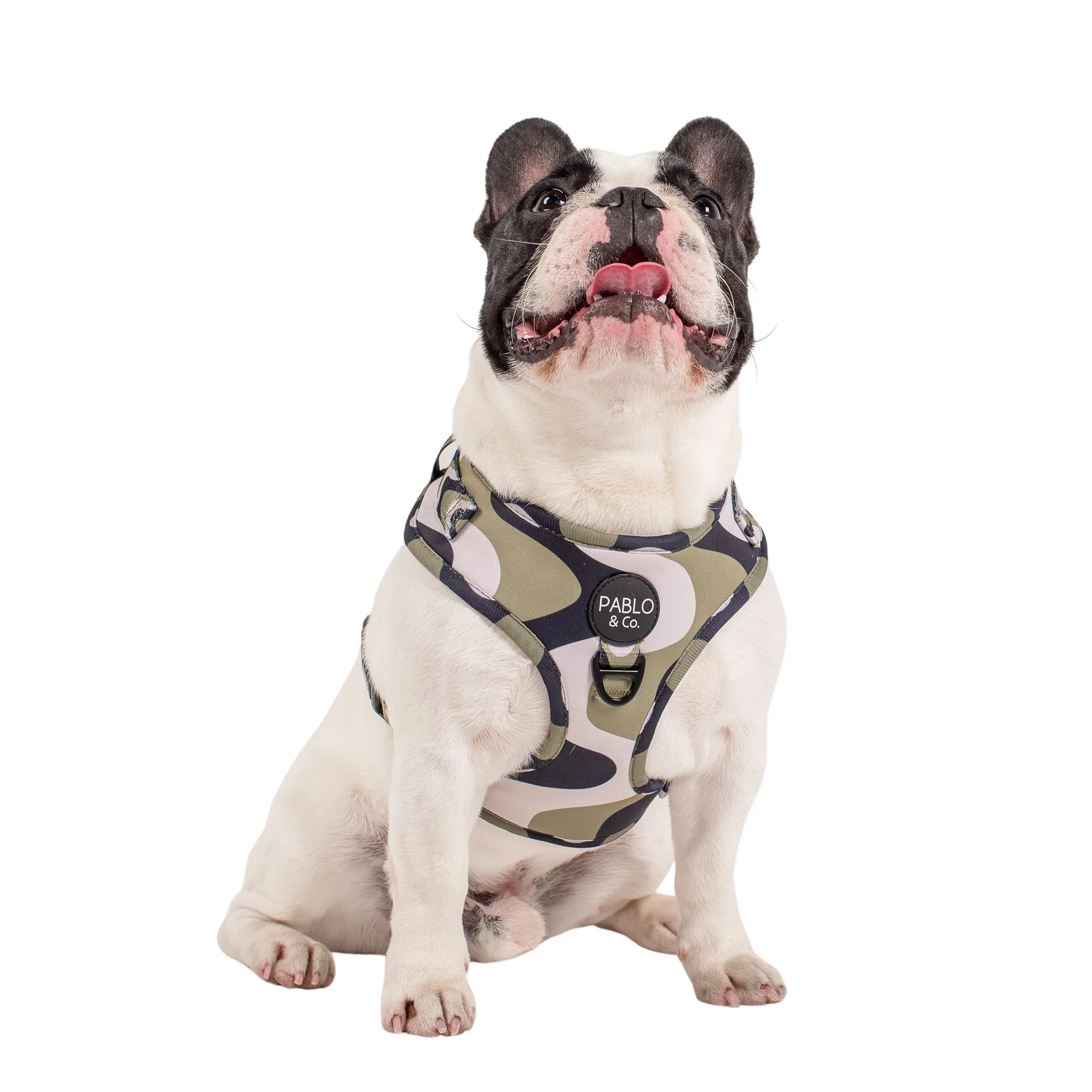 Navy Wavy: Adjustable Harness - Image 3