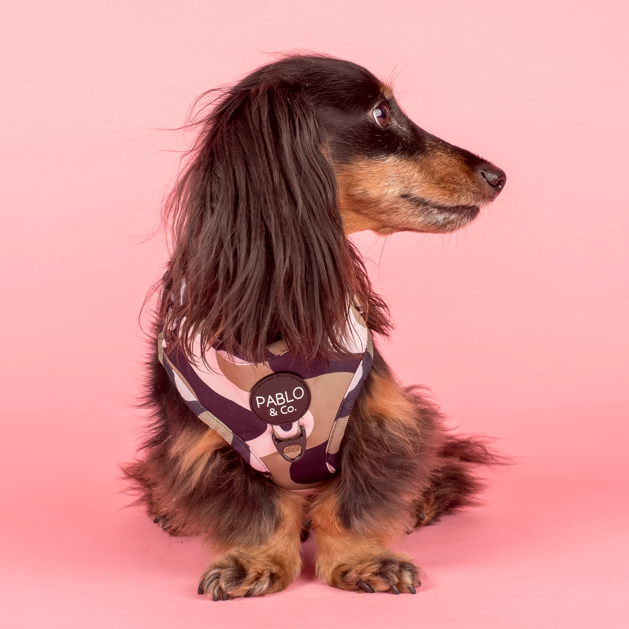 Navy Wavy: Adjustable Harness - Image 6