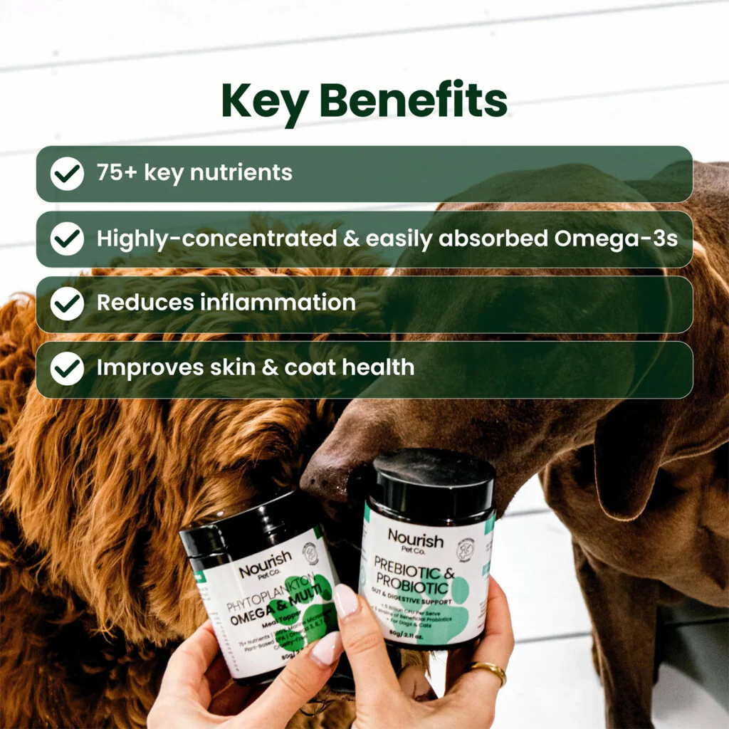 Nourish Pet Co Phytoplankton Omega & Multi Meal Topper 80g - Image 2