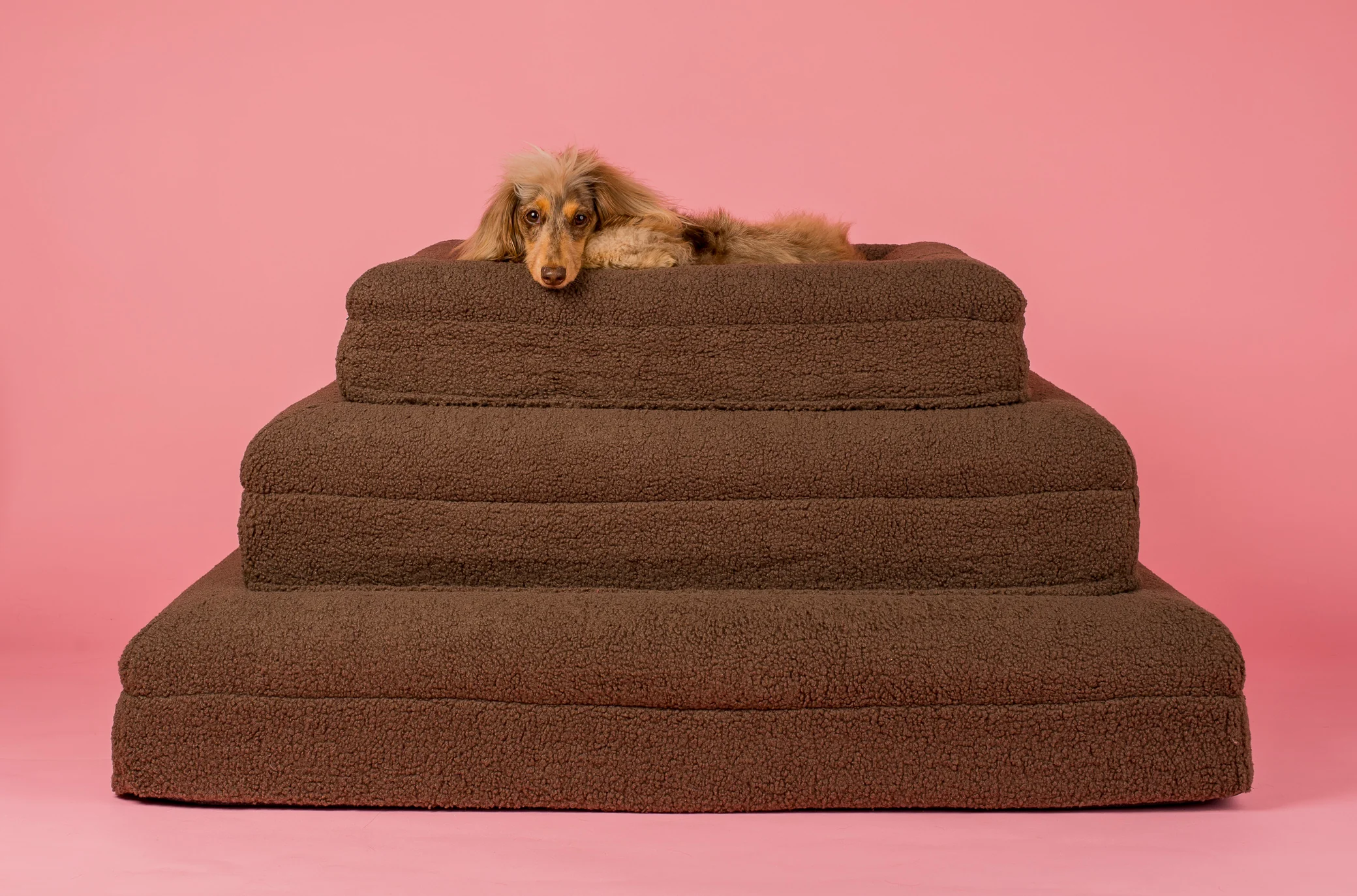 Orthopedic Memory Foam Teddy Dog Bed: Espresso - Image 2