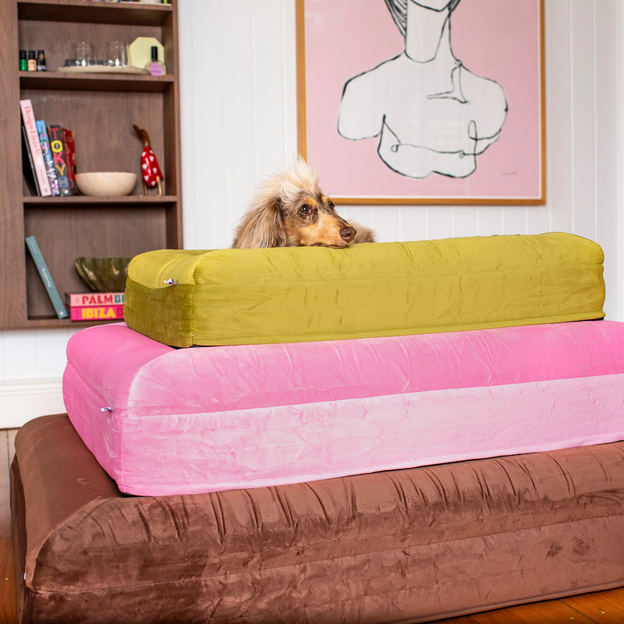 Orthopedic Memory Foam Velvet Dog Bed: Dark Chocolate - Image 8