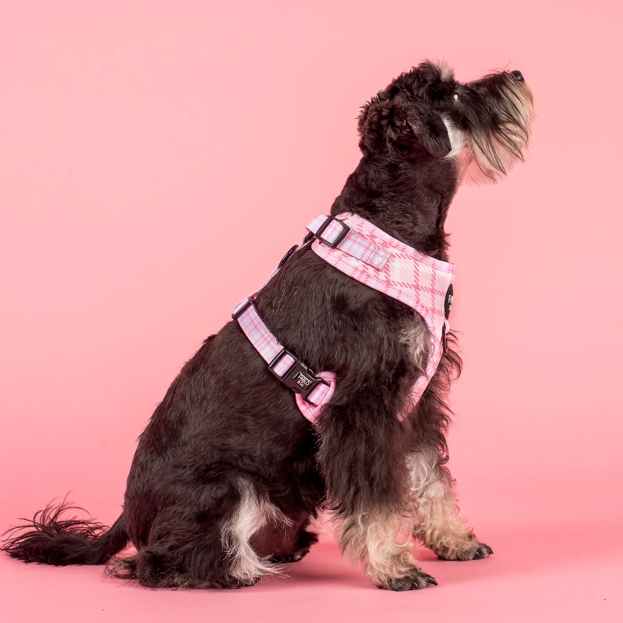 Pink Houndstooth: Adjustable Harness - Image 2