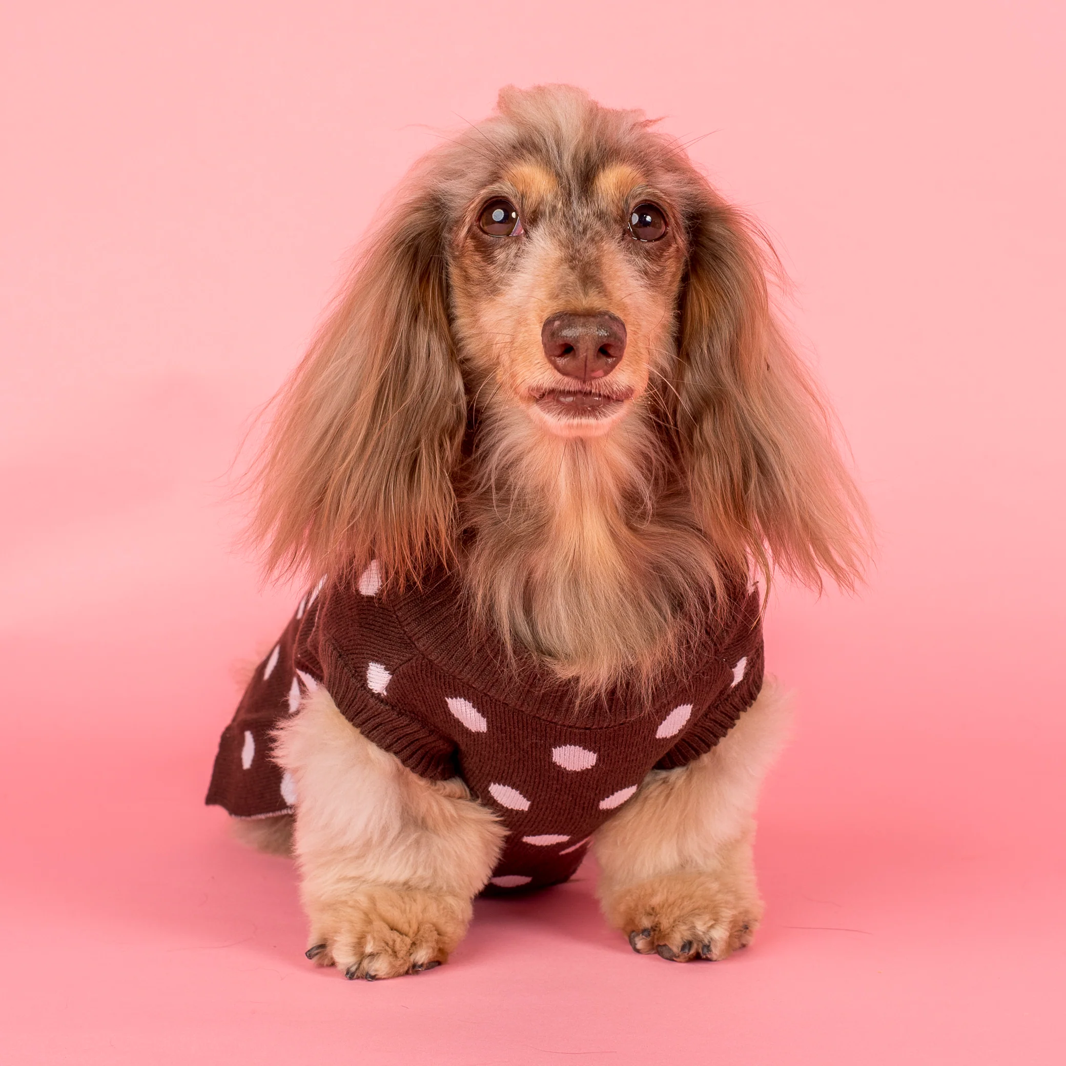 Polka Dots: Sweater - Image 2