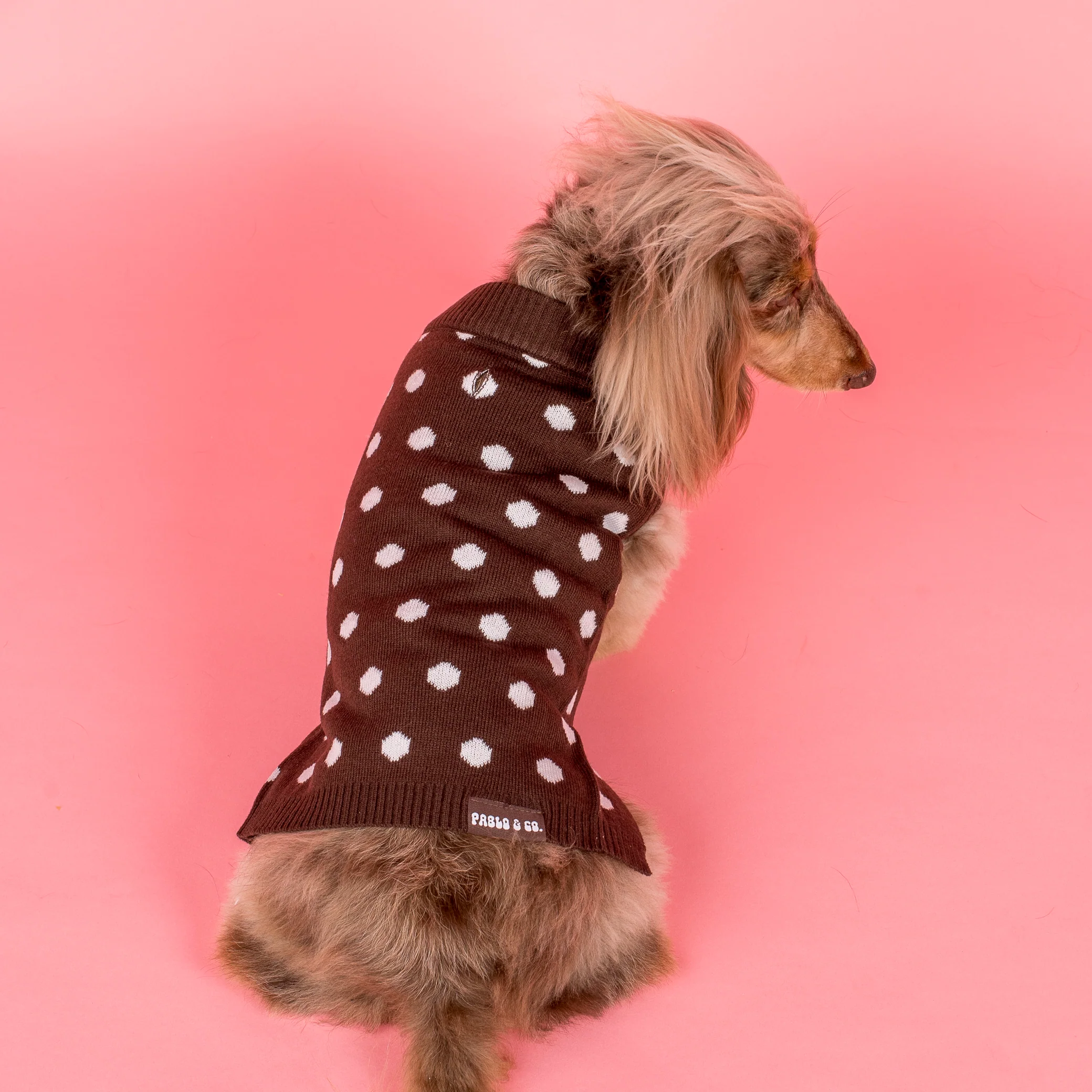 Polka Dots: Sweater - Image 4