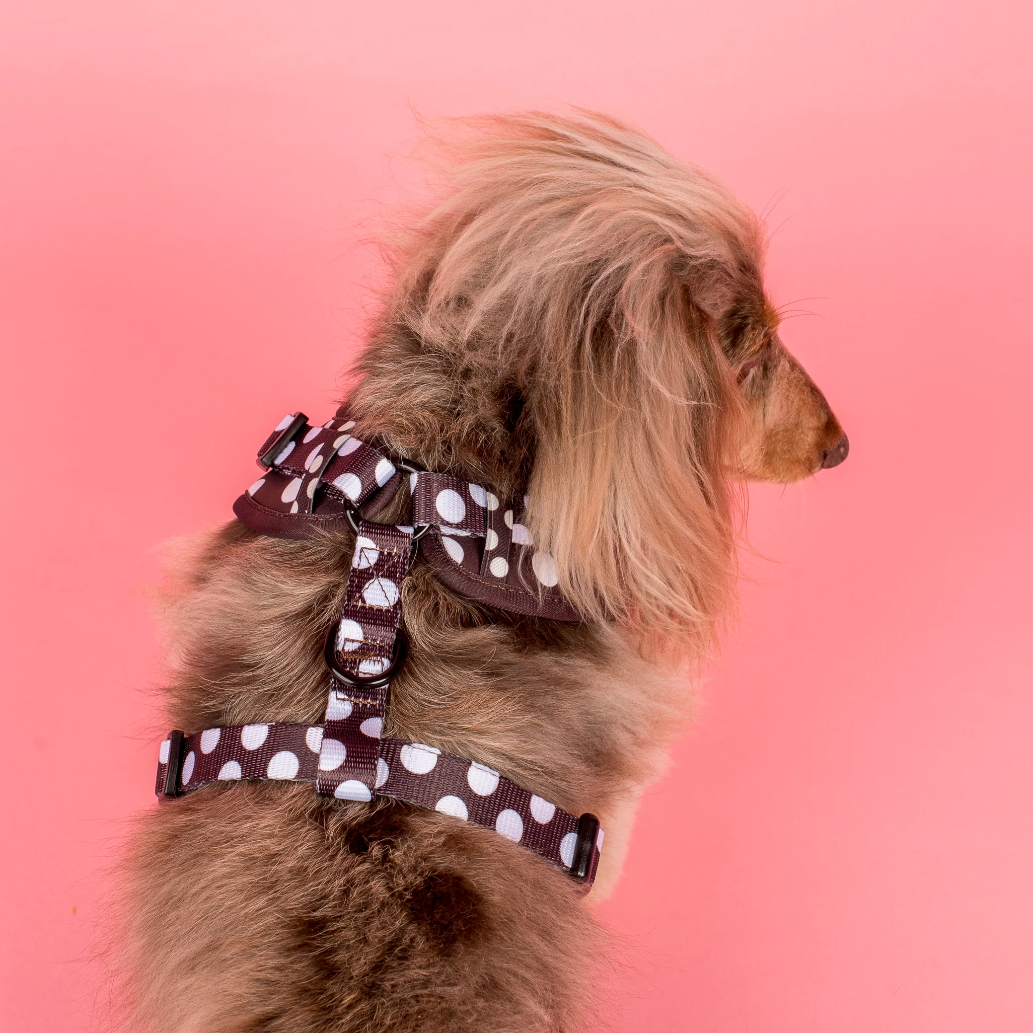 Polka Dots: Adjustable Harness - Image 4