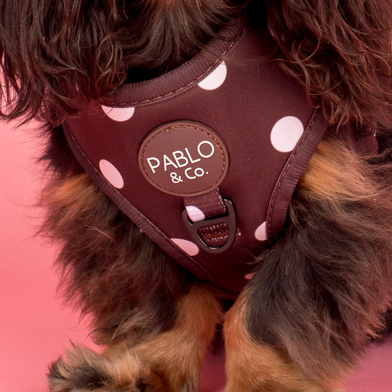 Polka Dots: Adjustable Harness - Image 6