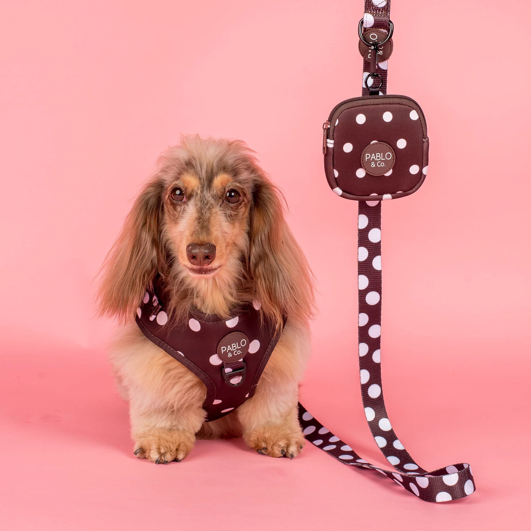 Polka Dots: Dog Leash - Image 2