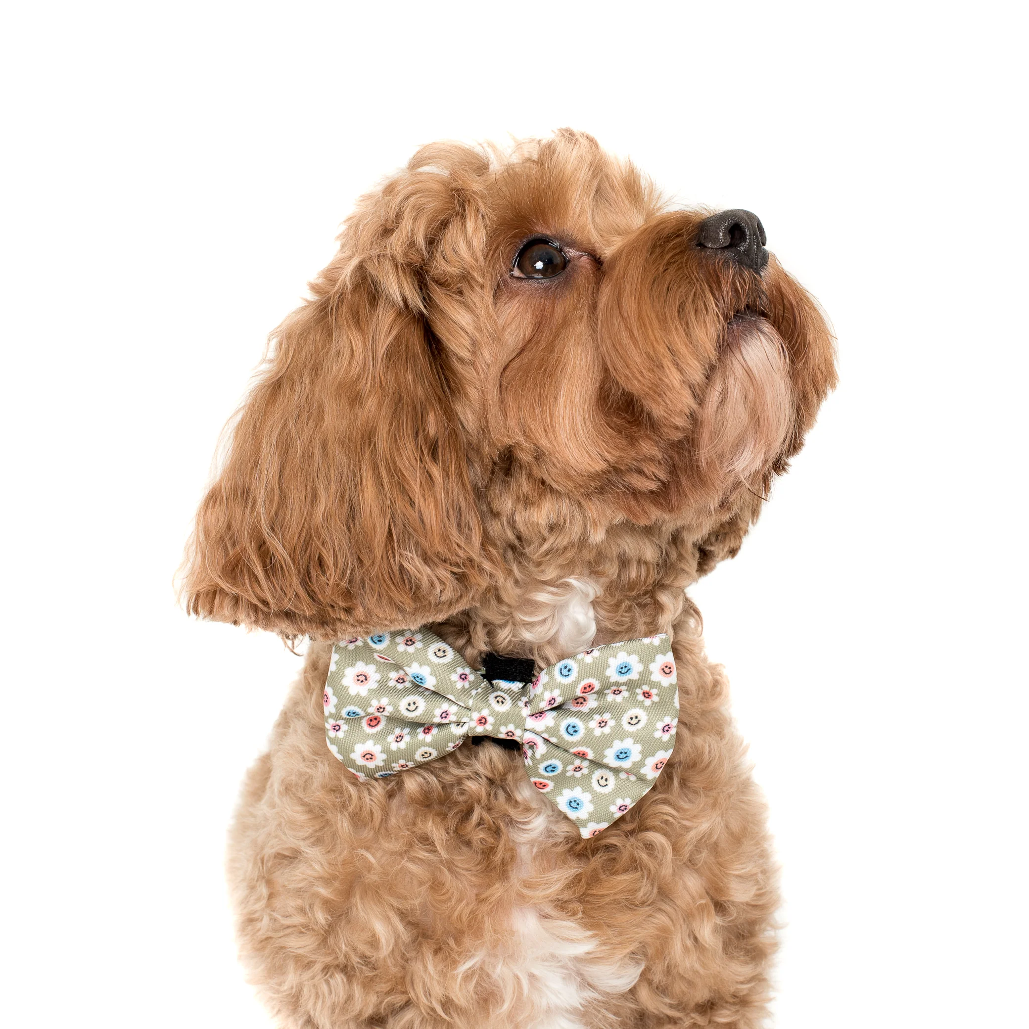 Smiley Flowers: Bow Tie