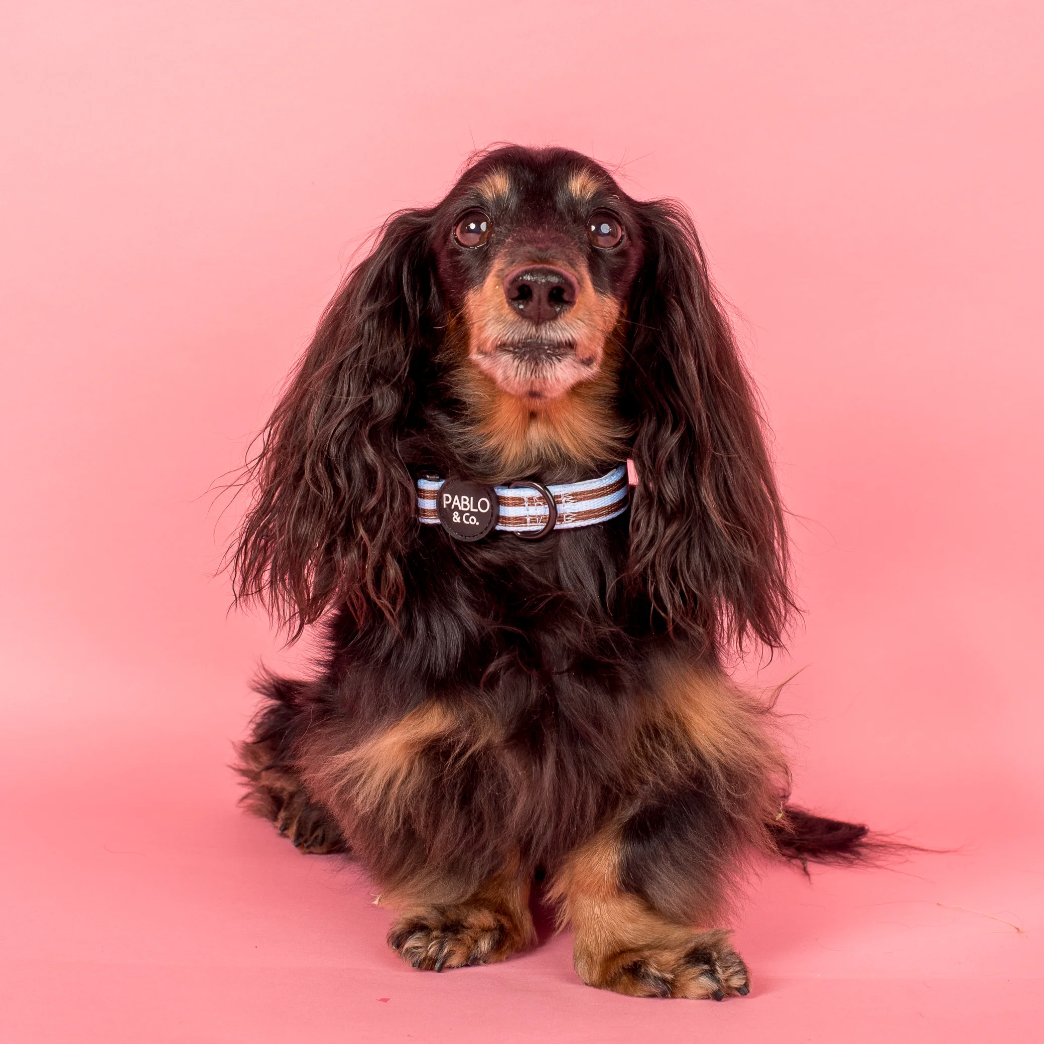 Sunday Stripes: Collar