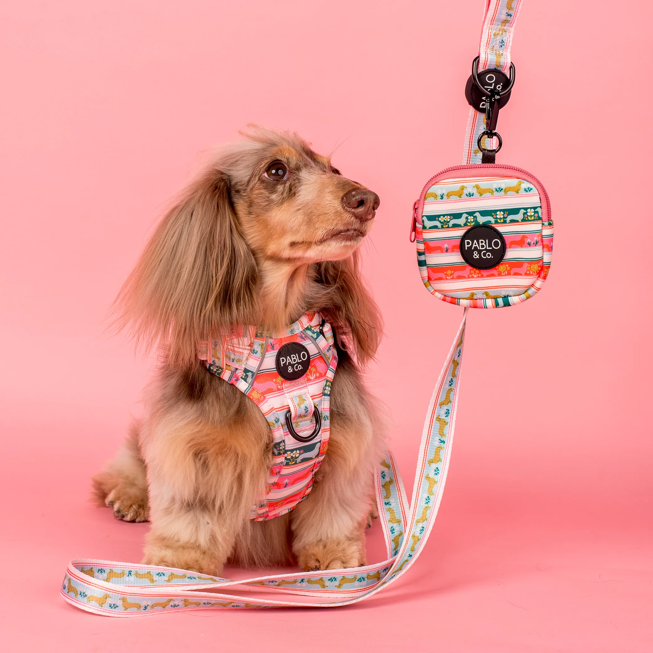 The Blooming Dachshund: Treat Pouch - Image 2