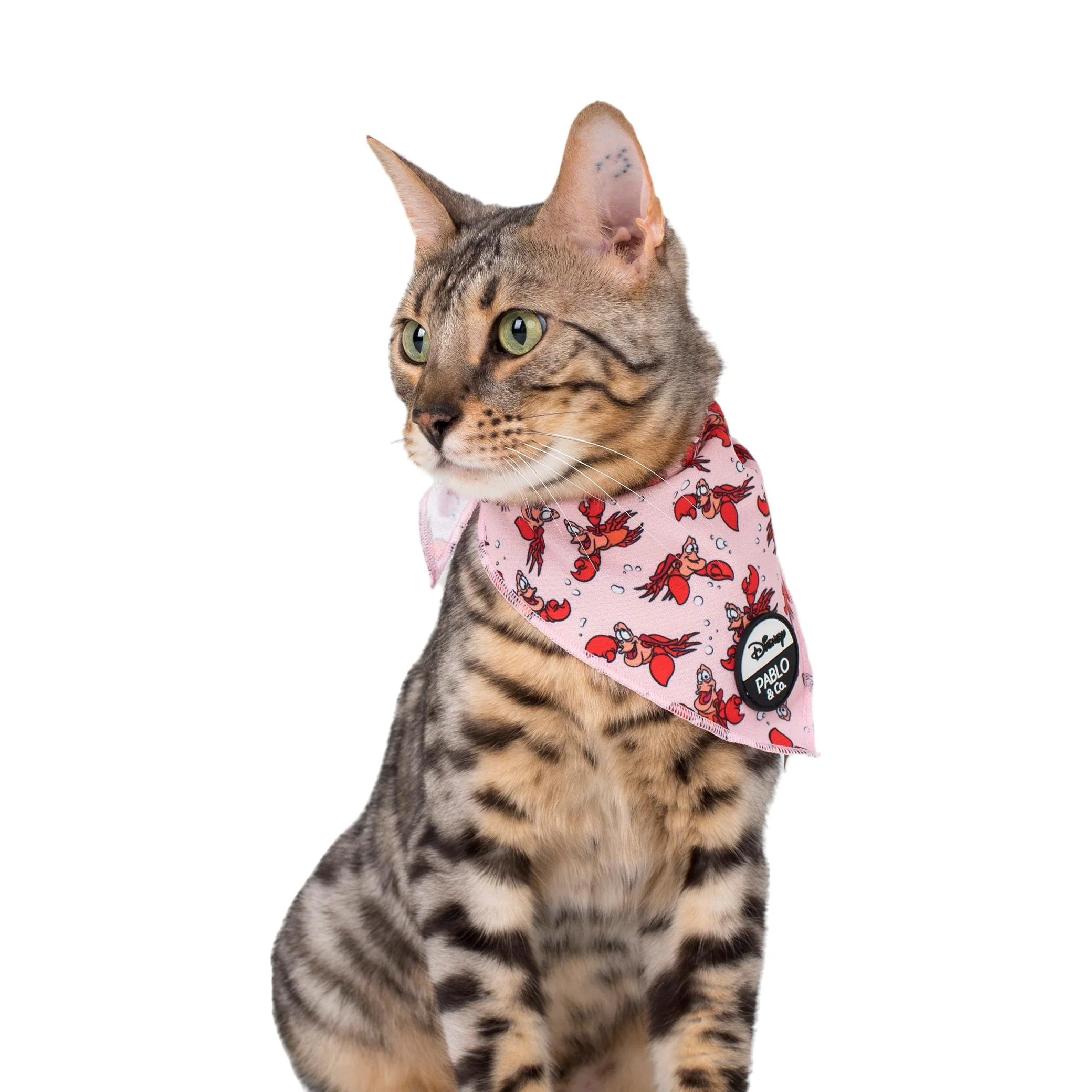 The Little Mermaid - Sebastian: Cat Bandana - Image 2