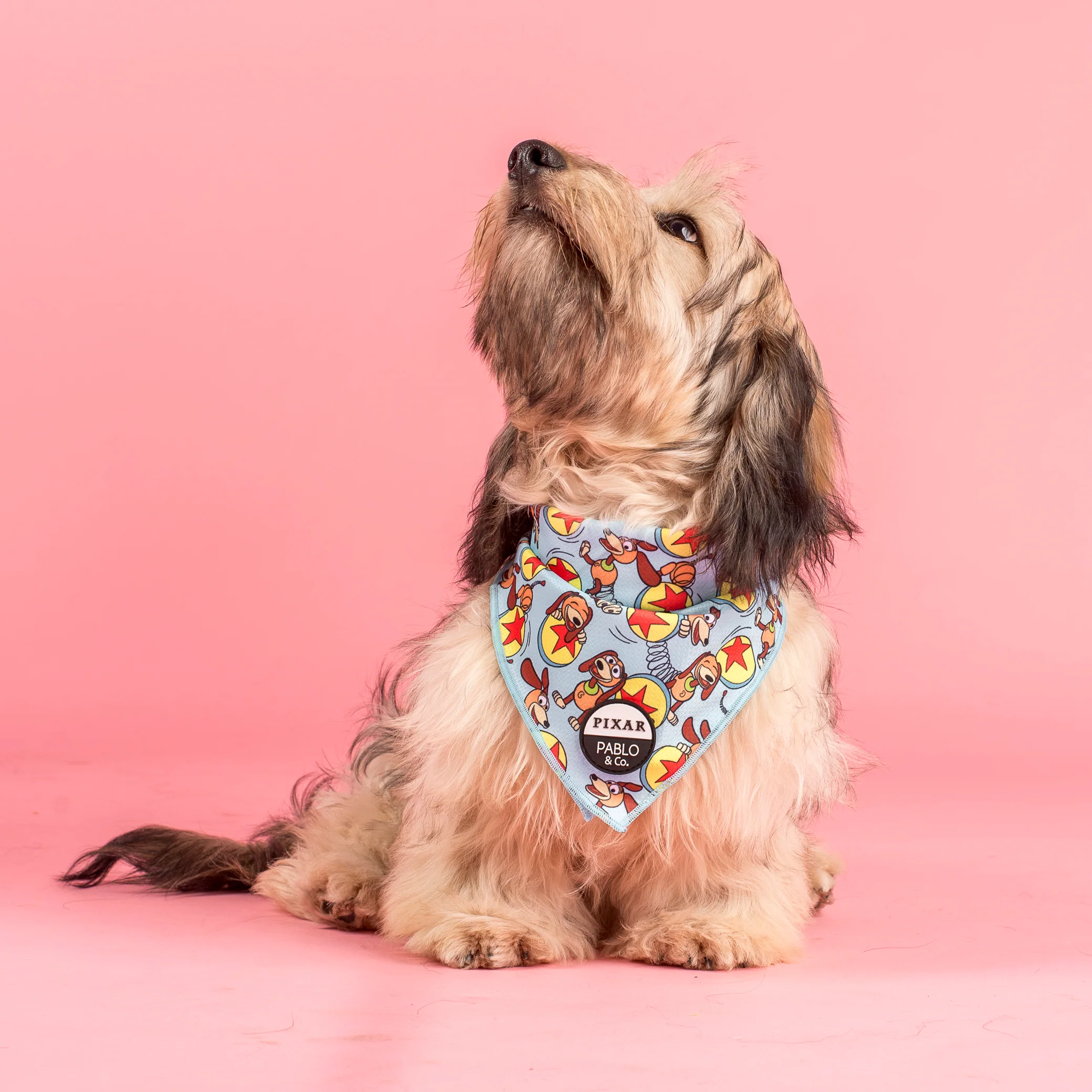 Toy Story - Slinky Dog: Dog Bandana - Image 2