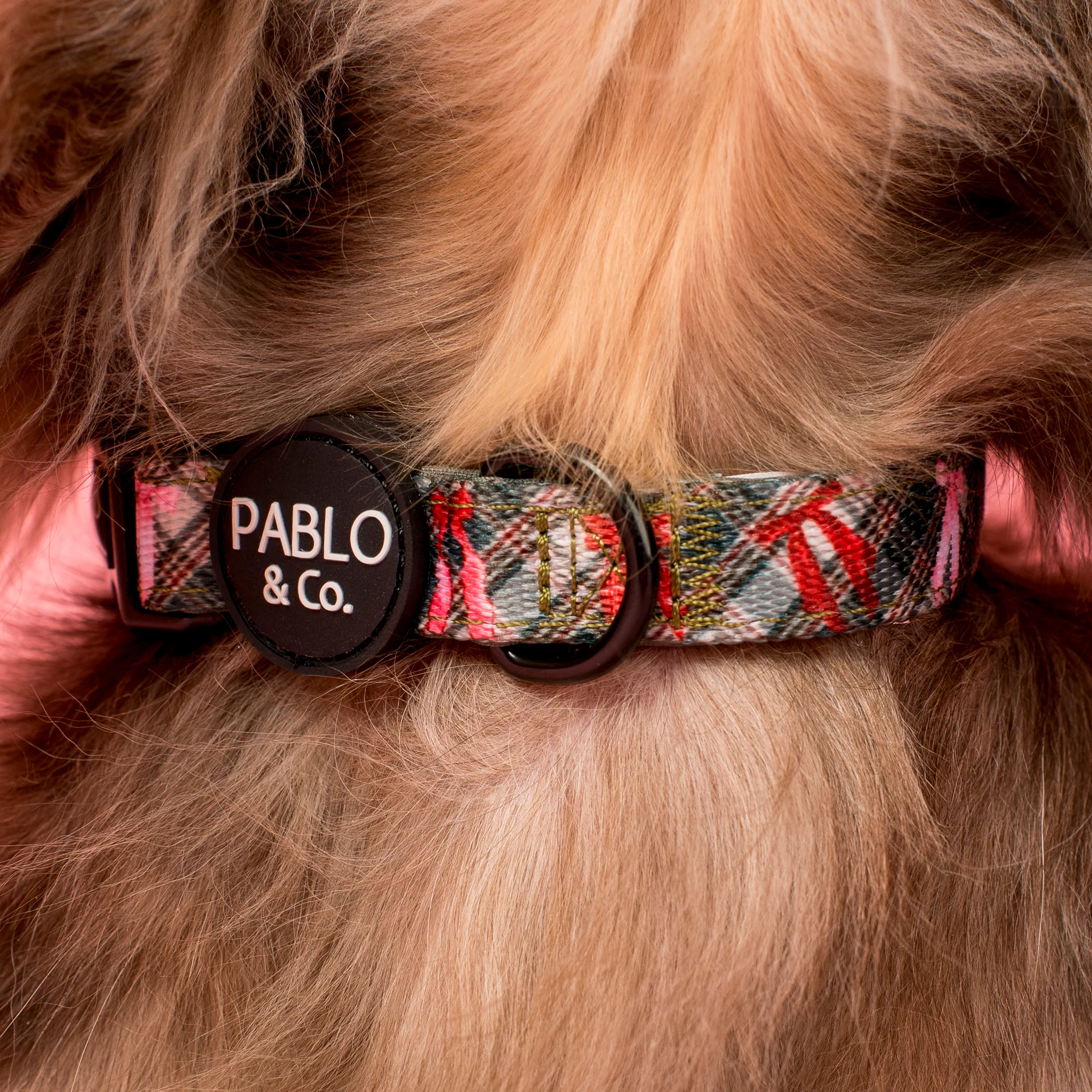 Wrapped in Ribbons: Collar